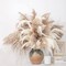 28" inch 20 Stems Large Pampas Grass Decor - Fluffy Brown & White Pampas Grass Decor Tall Pompas Grass for Floor Vase - Boho Home Decor Wedding Decor Natural Flower Bouquet